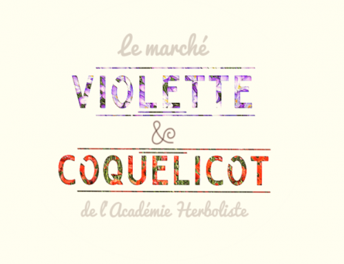 Marché Violette & Coquelicot 16 décembre 2017