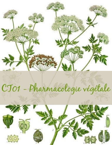 02-CT01-Pharmacologie végétale