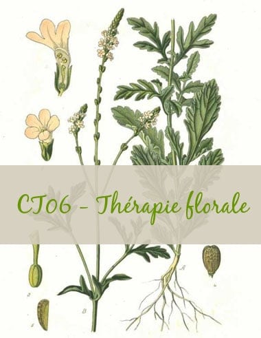 07-CT06-Thérapie florale