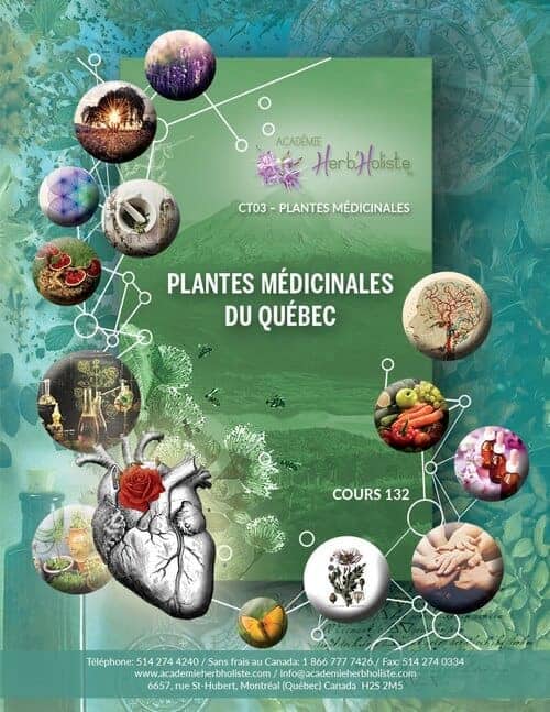 03-132 Plantes du Québec
