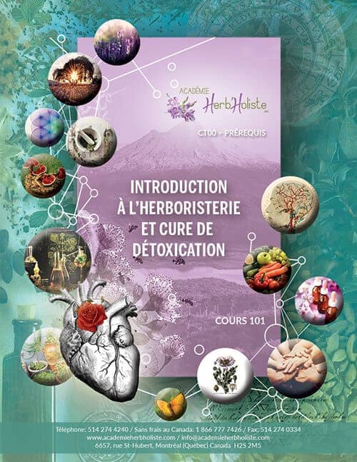 Cours Introduction à l'herboristerie