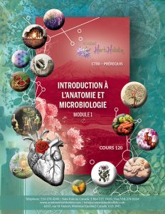 CT00-120 Cours Introduction a l'anatomie et microbiologie