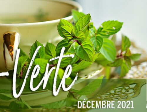 Info-Verte – Décembre 2021 – Les plantes thérapeutiques des sorcières