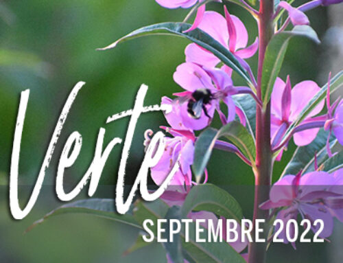 Info-Verte – Septembre 2022- Les jardins botaniques et médicinaux