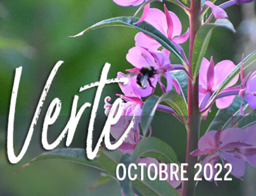 Info-Verte – Octobre 2022- Cueillettes d’automne