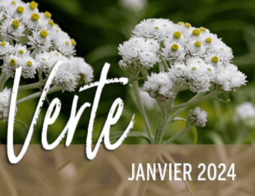 Info-Verte – Janvier 2024 – Janvier, mois des résolutions
